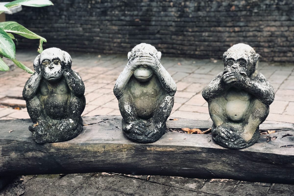 Perspektiven (6) Wirk-Kräfte: strategisch die Transformation mitgestalten