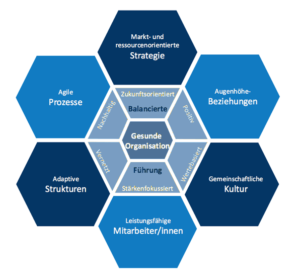 Modell der Gesunden Organisation mit den Dimensionen Strategie, Strukturen, Kultur, Prozesse, Beziehungen, Mitarbeiter und Führung