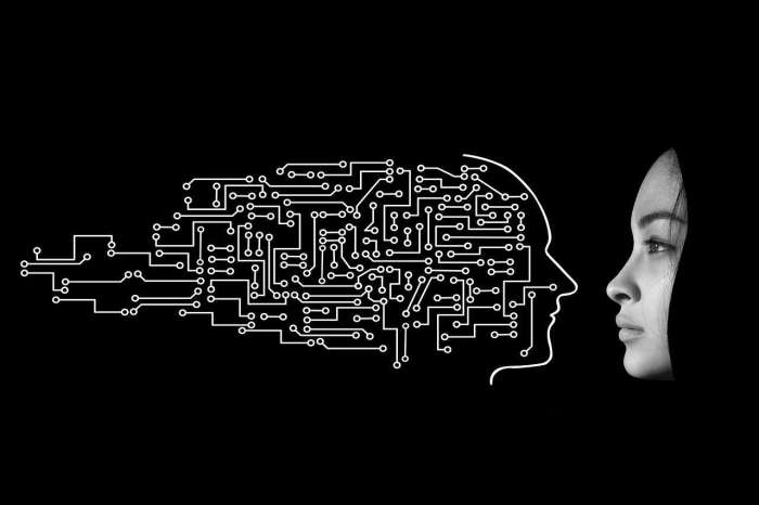 KI-Kreativität und menschliche Intuition