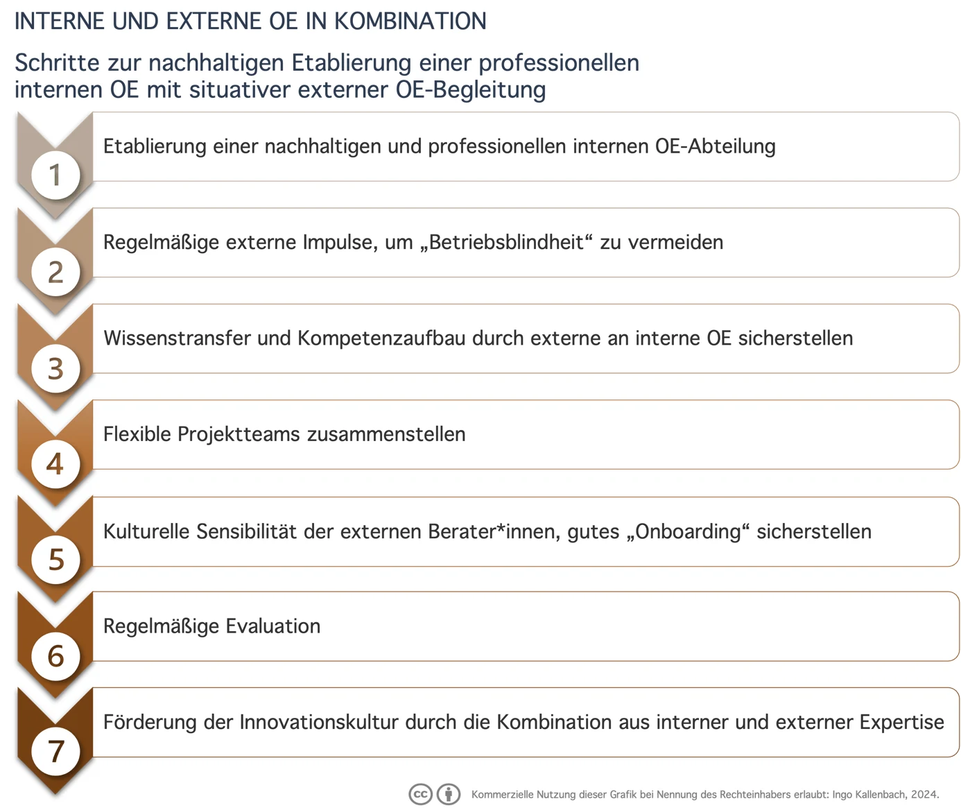 Sieben Schritte zur nachhaltigen Etablierung einer professionellen internen Organisationsentwicklung mit situativer externer Begleitung: erstens Etablierung einer nachhaltigen und professionellen internen OE-Abteilung, zweitens regelmäßige externe Impulse, um Betriebsblindheit zu vermeiden, drittens Wissenstransfer und Kompetenzaufbau durch externe an interne OE sicherstellen, viertens flexible Projektteams zusammenstellen, fünftens kulturelle Sensibilität der externen Beraterinnen und Berater sowie gutes Onboarding sicherstellen, sechstens regelmäßige Evaluation, siebtens Förderung der Innovationskultur durch die Kombination aus interner und externer Expertise