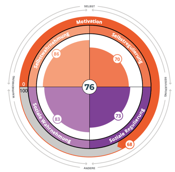 Insights MDI® EQ – Emotionale-Intelligenz-Auswertung
