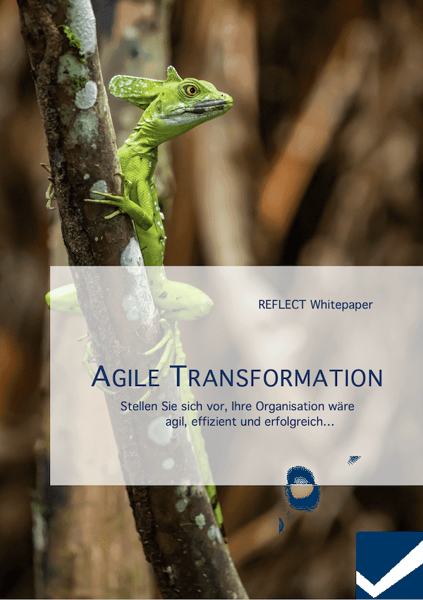 Whitepaper Agile Transformation