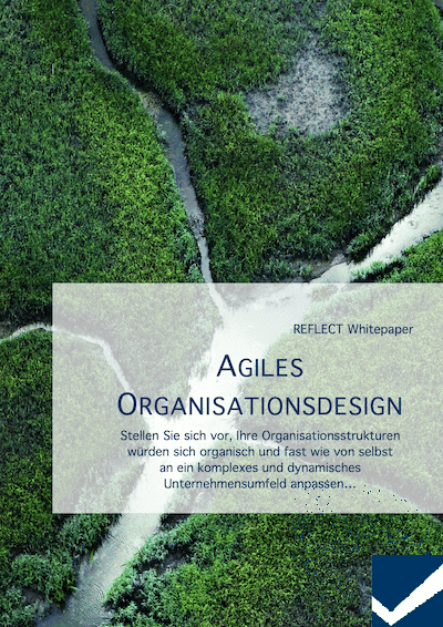 Whitepaper Agiles Organisationsdesign
